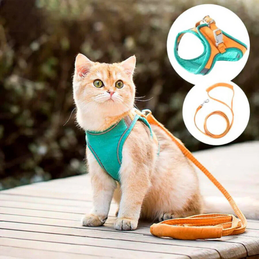 Imbracatura per gatti comoda e sicura - Ideale per le uscite