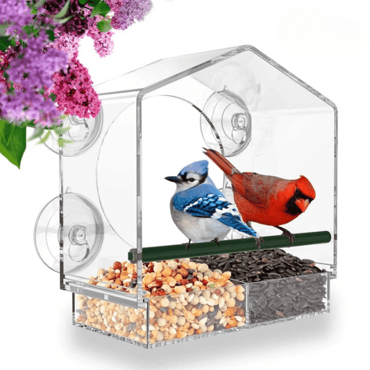 Alimentador de pássaros premium para janelas